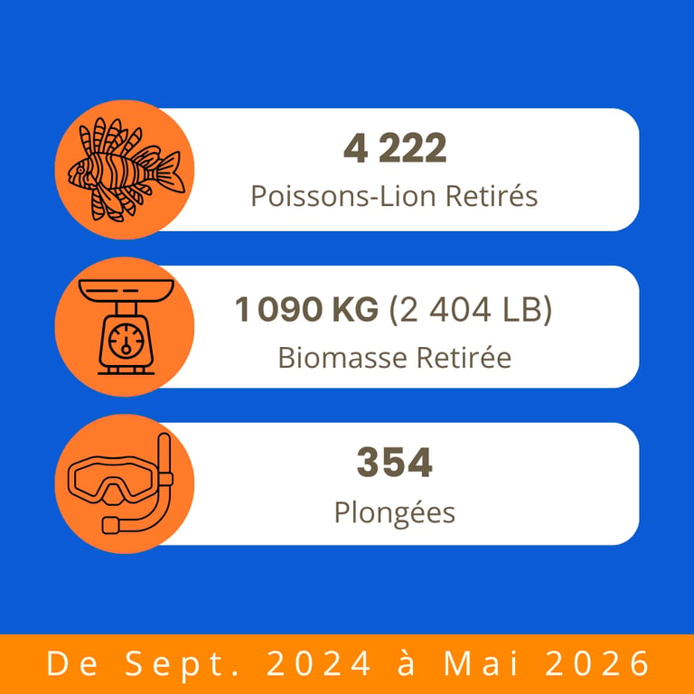 Statistiques de terrain TTT sur les prélèvements de poissons-lions, la biomasse et les plongées