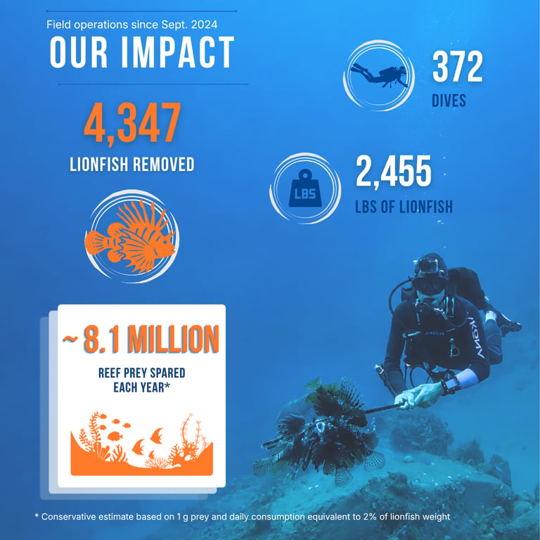 TTT lionfish management impact summary