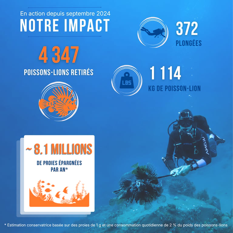 Résumé de l'impact des actions de TTT