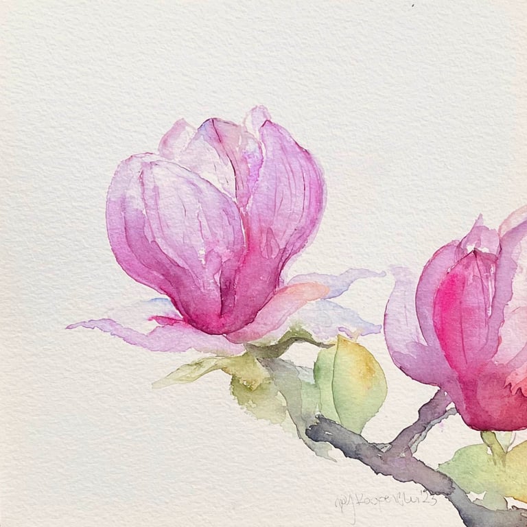 Pink Magnolia Flowers Watercolor Painting by Weronika Kacperski French Female Artist