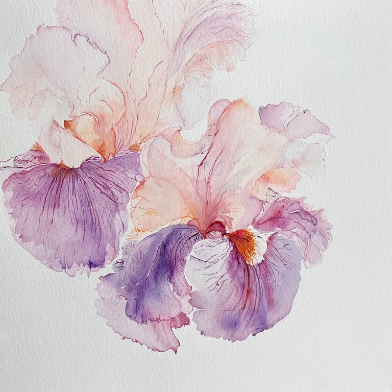 Pearlescent Blush Iris Flowers Watercolour Weronika Kacperski