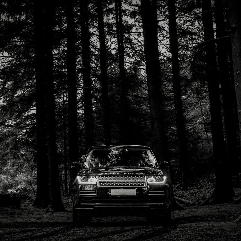 May & Co. Design Landrover Range Rover Vogue Jaguar Photoshoot in forest, UK
