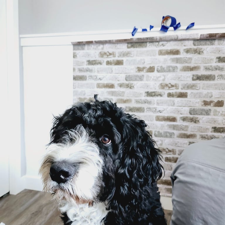 a dog standing in front of a brick wall