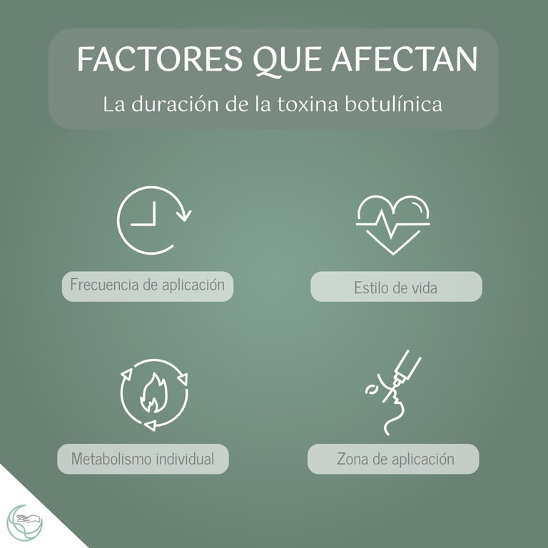 Factores que afectan la duración de la toxina botulínica: metabolismo, zona, frecuencia y estilo de vida
