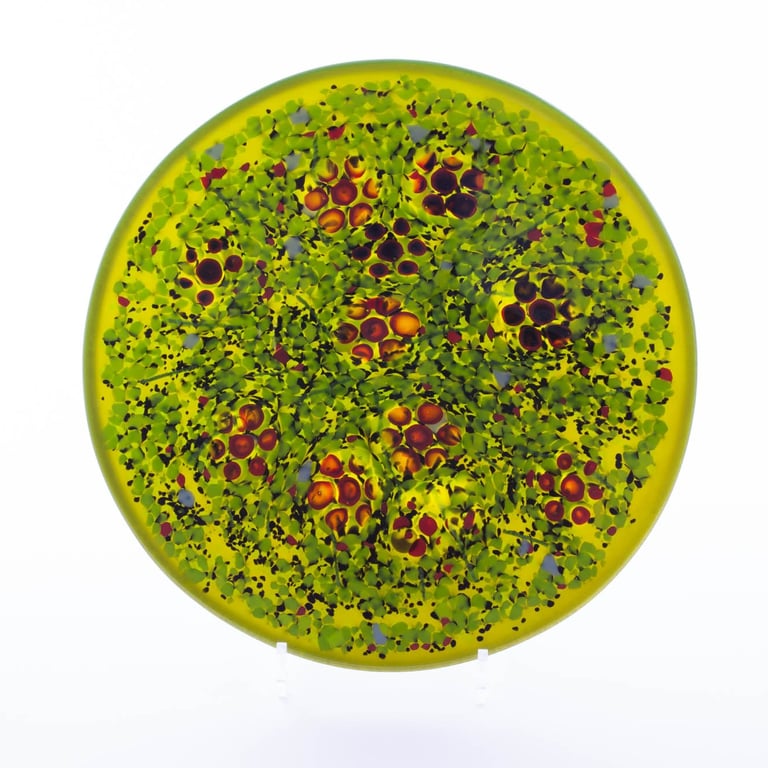 Summer Meadow - Dish