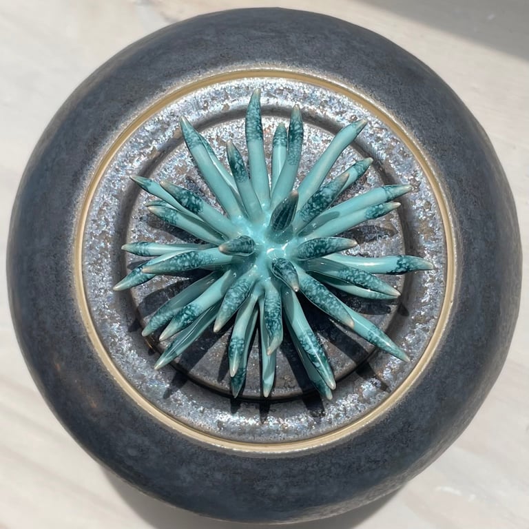 boîte boule bouchon épine