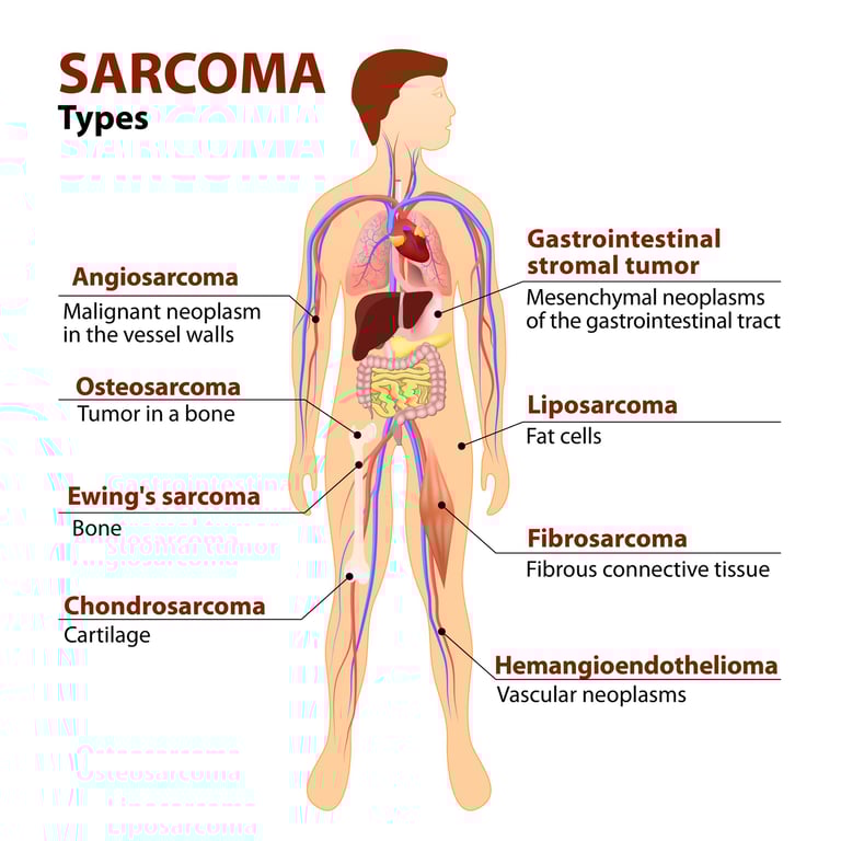 a diagram of the anatomy of the human body