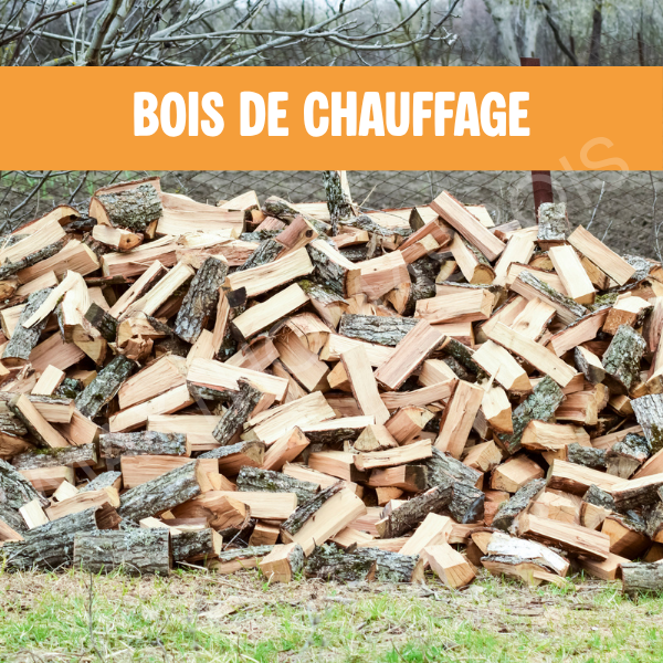 bois de chauffage Saint-Jean-de-la-Ruelle