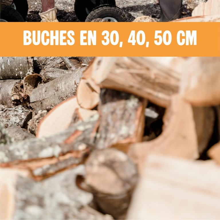 buches de bois annecy