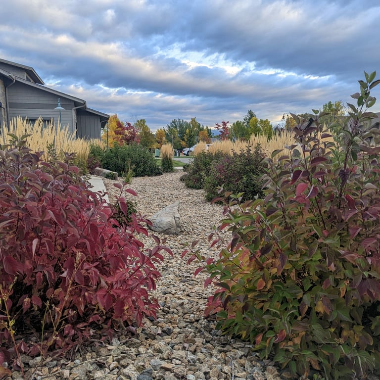 a gravel path with a gravel path leading to a house