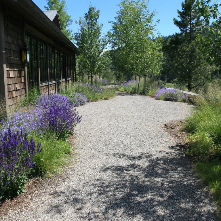 a natural meandering gravel plath with purple flowers and trees in a landscape
