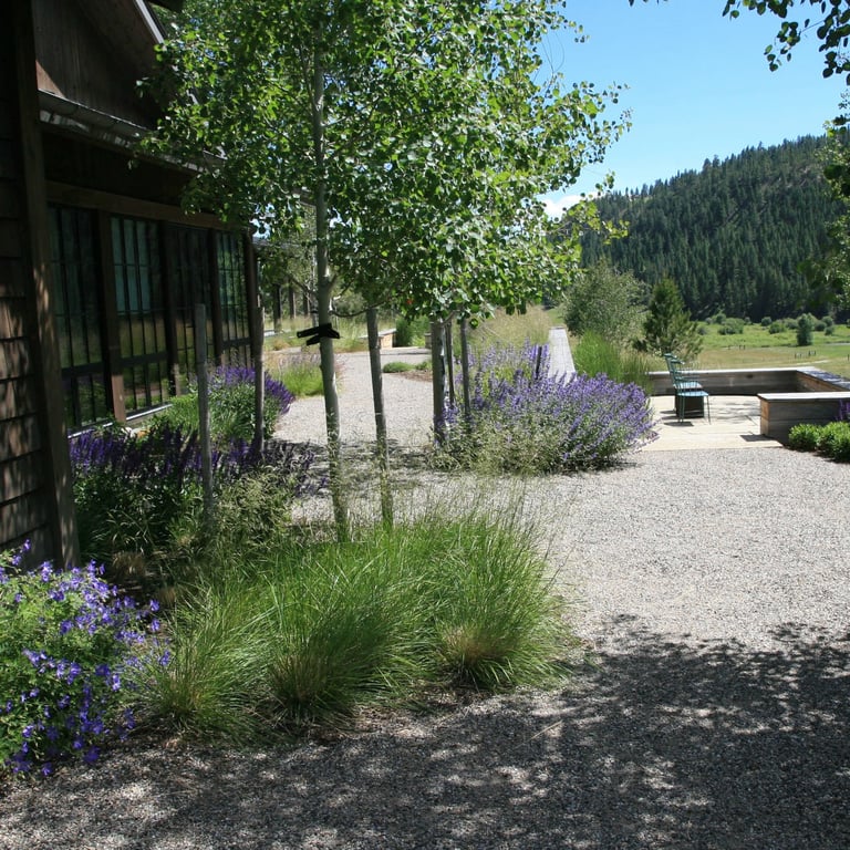a natural meandering gravel plath with purple flowers and trees in a landscape