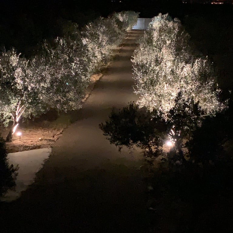 The front view to the grand entrance at night at Domaine Des Lucques