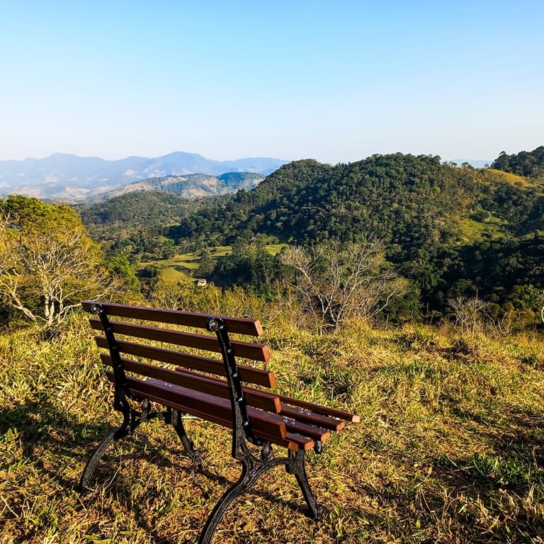 Banco no alto do morro com vista para Mata Atlântica