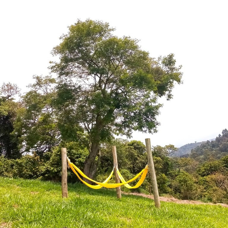 Rede de descanso no gramado com floresta ao fundo