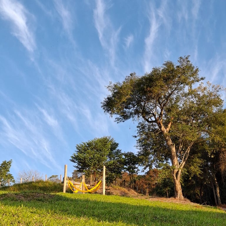 Fim de tarde com céu azul e nuvens riscadas