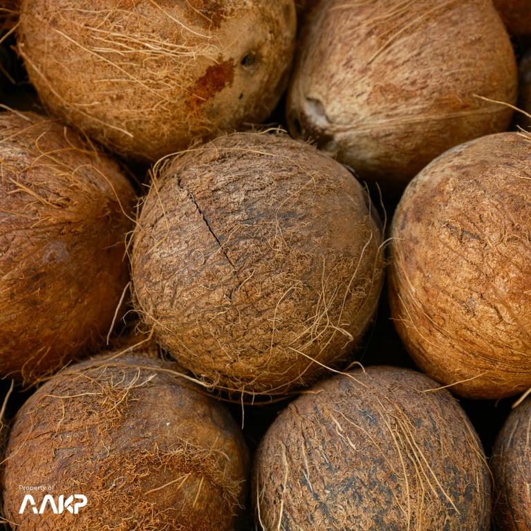 PT AAKP ANEKA USAHA RAYA