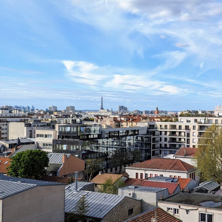 Vue sur Paris avec la Tour Eiffel depuis Montrouge.