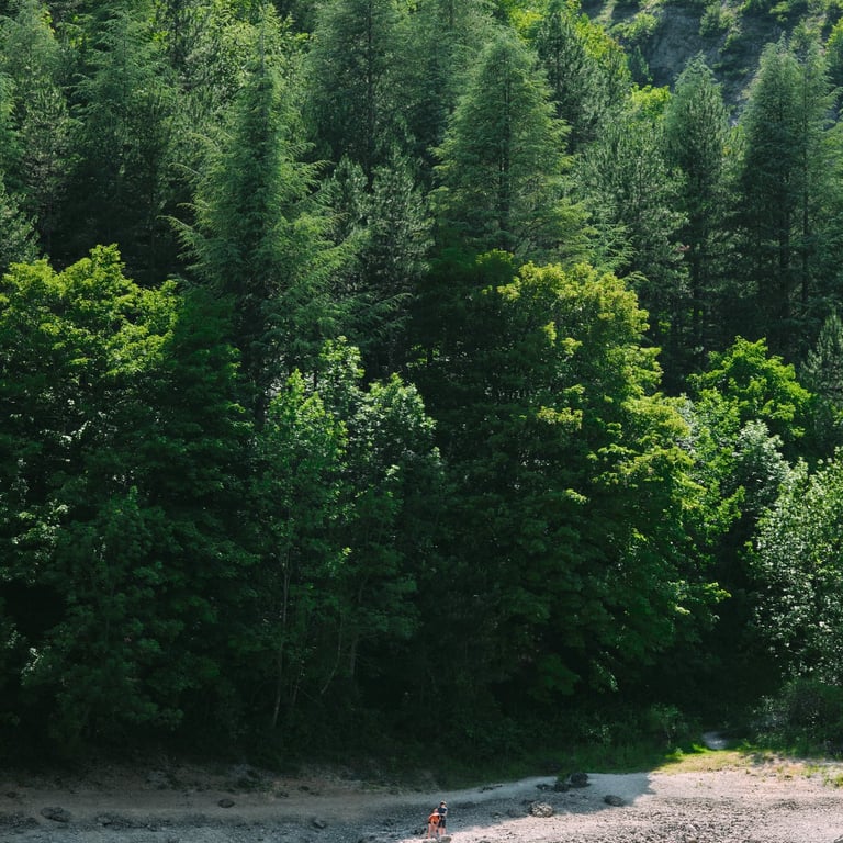 persone al lago di san domenico
