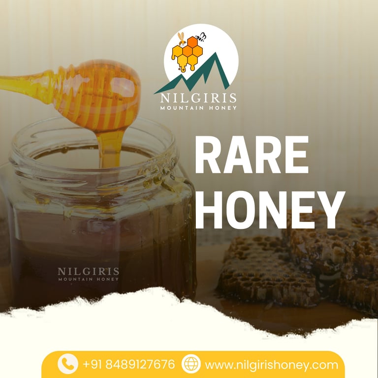 Pure Nilgiris mountain honey dripping from a wooden dipper into a glass jar with fresh honeycomb.