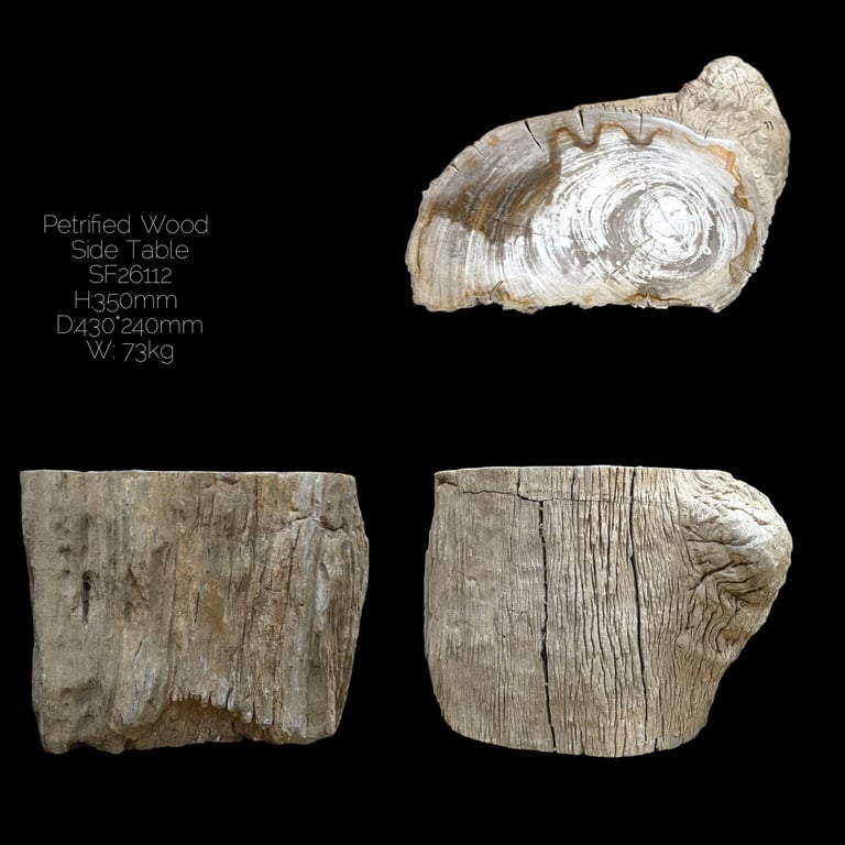 Petrified Wood side Table 
