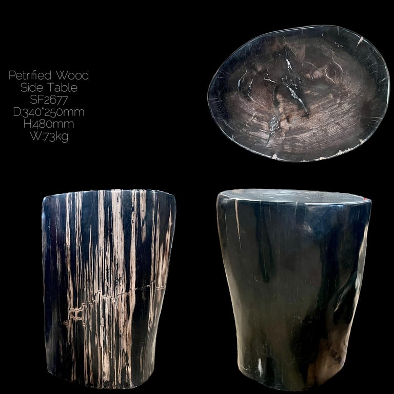 Fully Polished Petrified Wood End Table