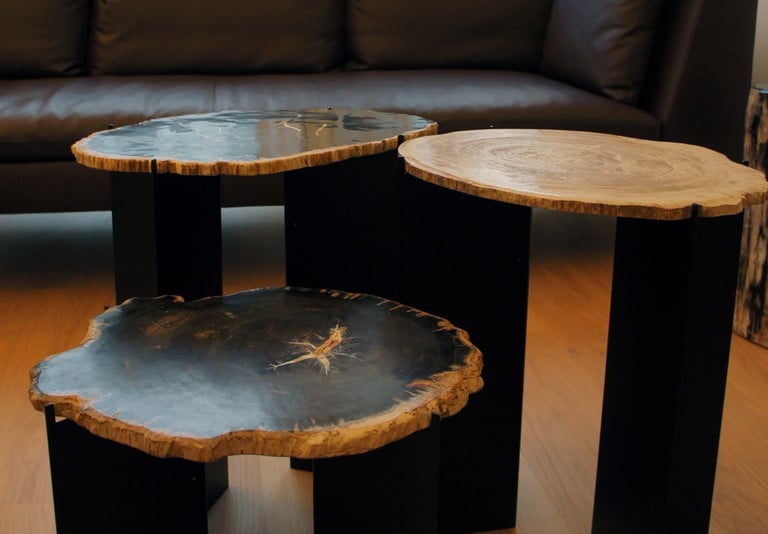 3 Petrified Wood Slices on metal bases as a coffee table