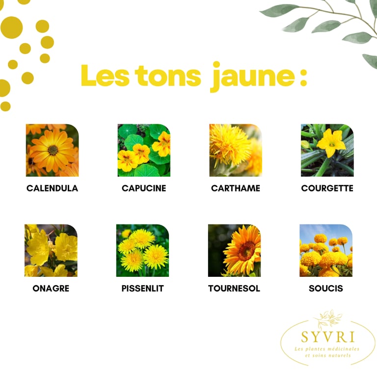 Fleurs comestibles jaune