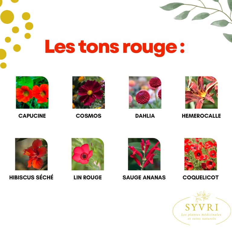 Fleurs comestibles rouge