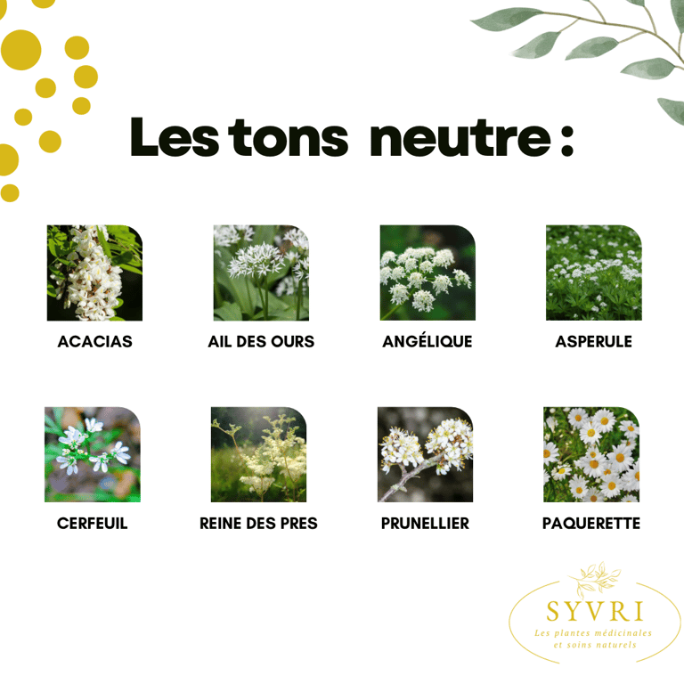 Fleurs comestibles blanches