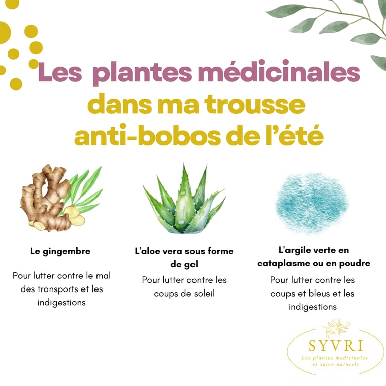 Les plantes médicinales dans ma trousse anti-bobos de l'été