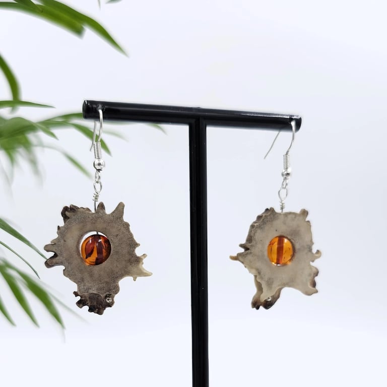 Elnio rago gintaro auskarai