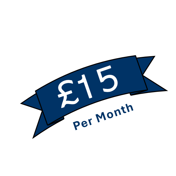 Remotivly Pro Plan for Web Development, Remote Assistant, Remote Teacher