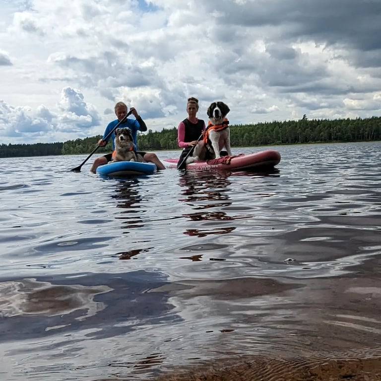 Mensch und Hund fahren SUP