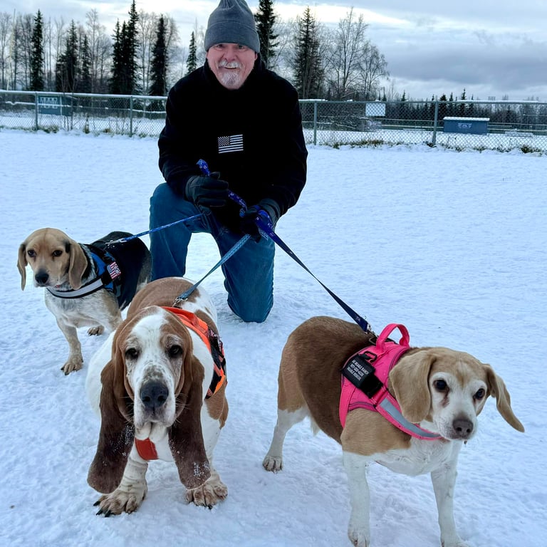 Dave, Duke One, Bill and Daisy