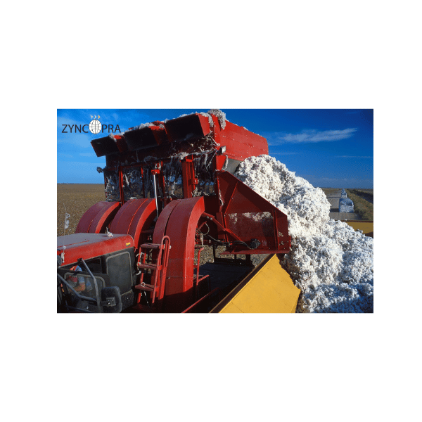 Algodón turco de alta calidad para toallas y textiles de hotel sostenibles.