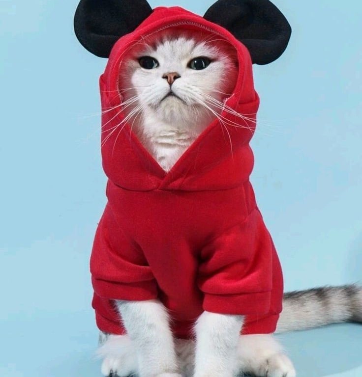 Un lindo gato blanco con una sudadera con capucha roja con orejas de ratón sobre un fondo azul claro