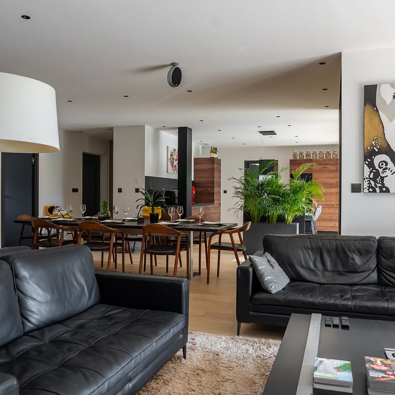 salon sejour lumineux design