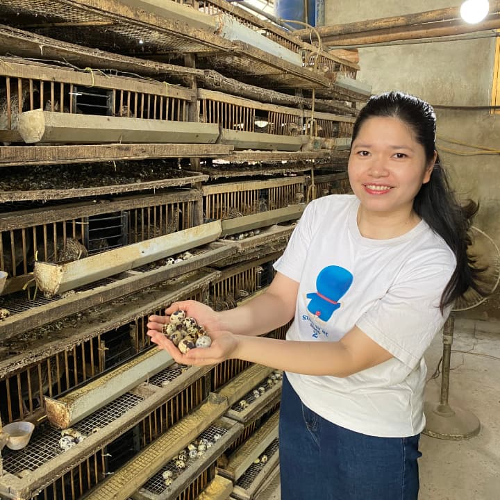 trứng chim cút bóc sẵn Đông Anh, Hà Nội, chim cút thịt, chim câu thịt giá sỉ