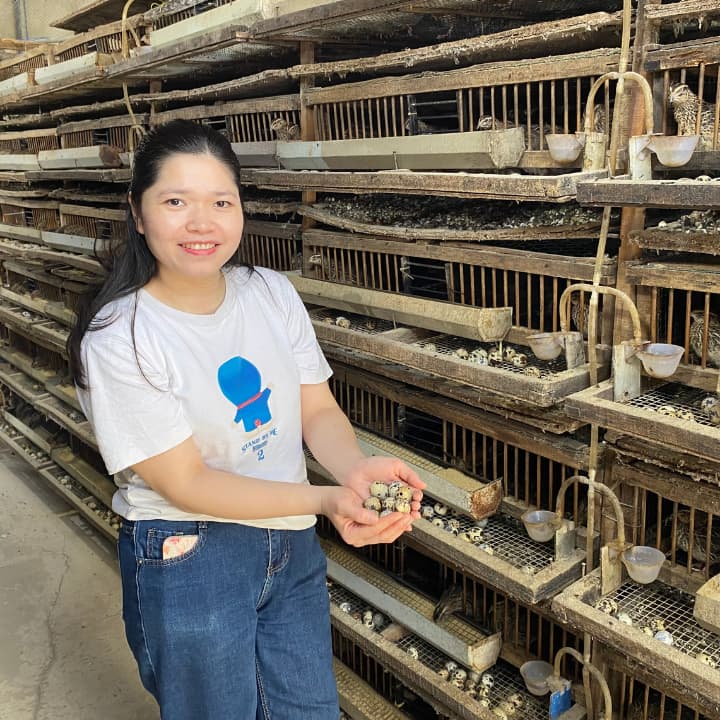 trứng chim cút bóc sẵn Đông Anh, Hà Nội, chim cút thịt, chim câu thịt giá sỉ