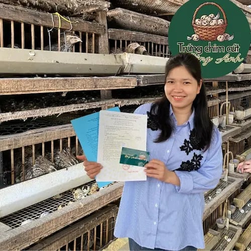 Trứng chim cút bóc sẵn, giải pháp cho bếp ăn, nhà hàng Đông Anh, Hà Nội