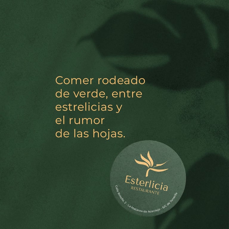 Detalle de posavasos de la marca sobre fondo verde texturizado