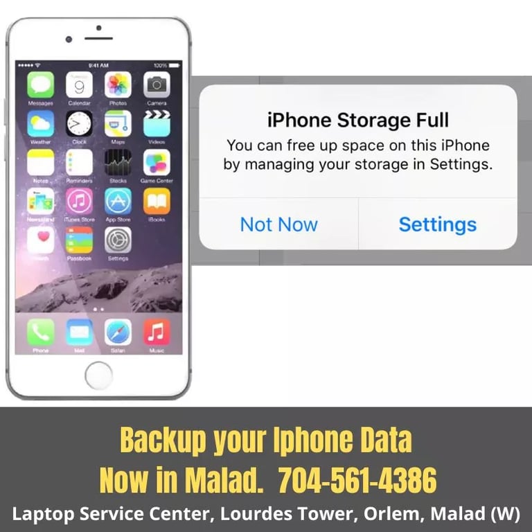 Backup Iphone Data
