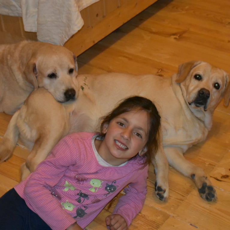 Dog Boarding, Dog Boarding near me, Pet Boarding, Pet Boarding near me, Dog Care, Happy Pettings