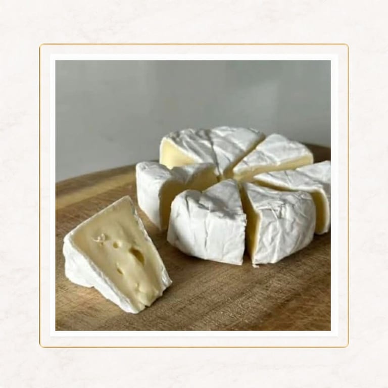 selección nacional de quesos gourmet premium disponibles en León Guanajuato 