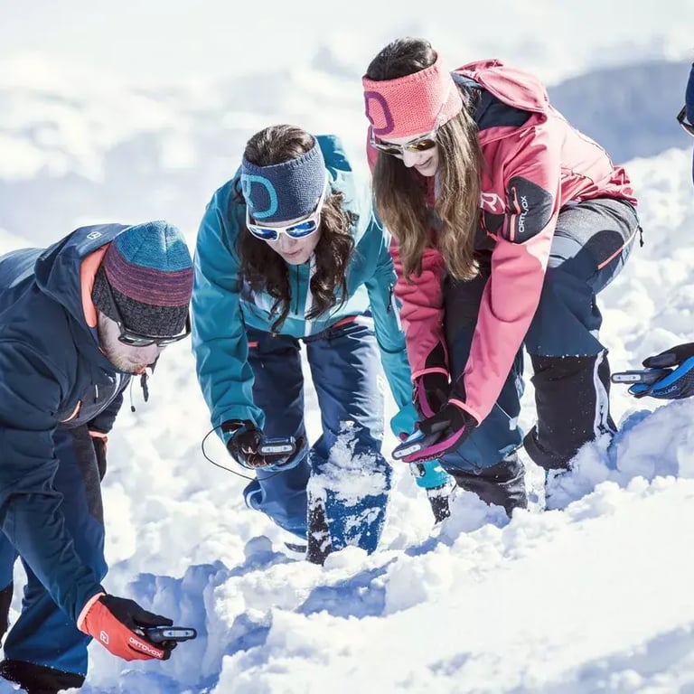 dvarechercheorthovox