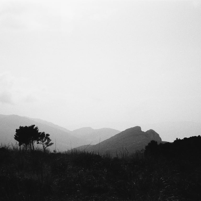 "Pilgrimage to Capo Gallo No. 1" Analogue fine art photograph. Shot on Kodak Tri-X 400. Palermo