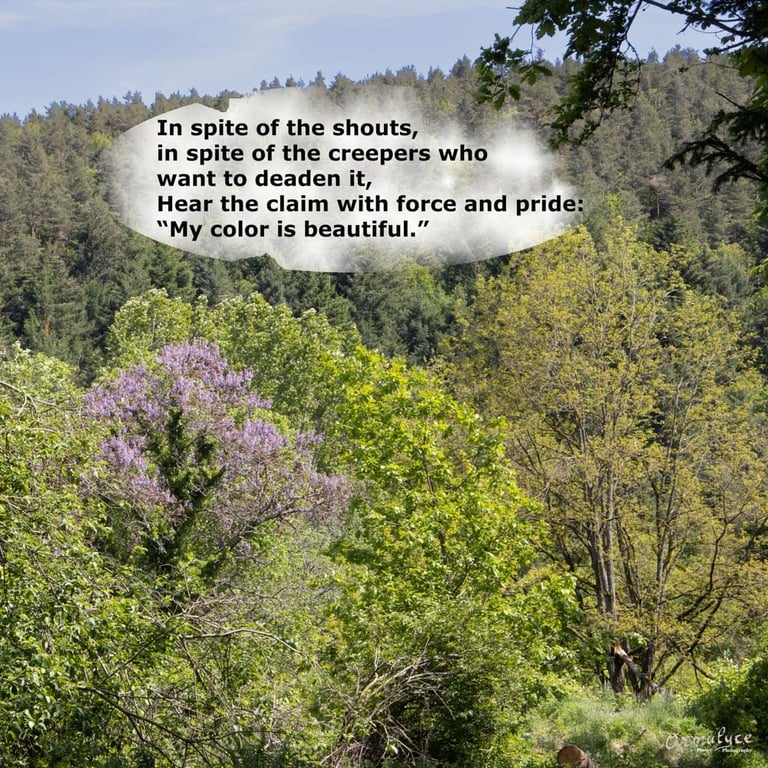 Color Claim  - Journey in Poetry by Ormulyce