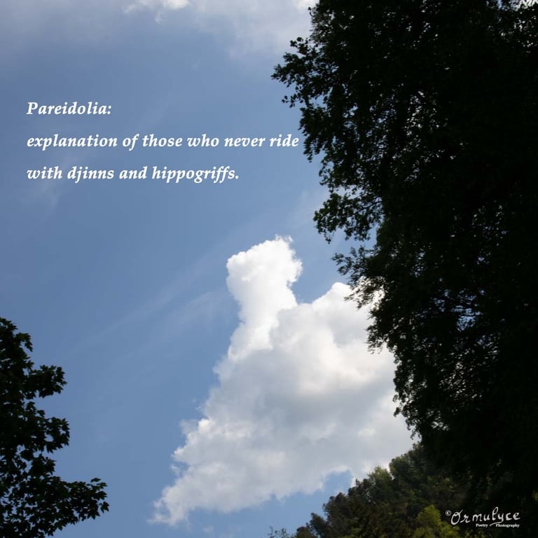 Illusory perception - composition by Ormulyce - writer poet photographer