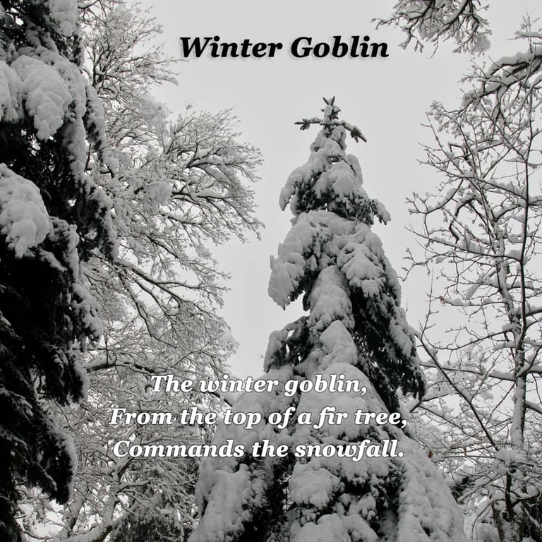 Winter Goblin - composition by Ormulyce - writer poet photographer